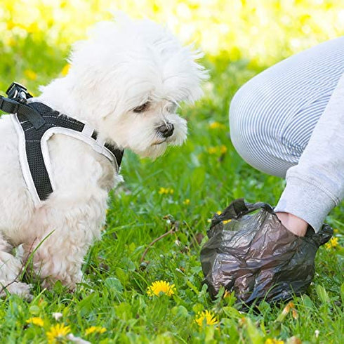 LazyMe Plastic Grocery Bags with Handles Small Size Merchandise Bags Shopping Bags in Bulk Pet Poop Bags, 10 x 16 Inches (Black 100 Pcs)