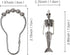 ZILucky 12Pcs Mermaid Skeleton Shower Curtain Hooks Halloween Decorative Home Bathroom Decor Rustproof Skeletons Shower Curtain Rings (Mermaid Skull Silver)