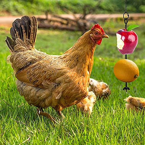 winemana 3PCS Chicken Veggies Skewer Fruit Holder for Hens Pet Chick, Coop Accessories Vegetable Hanging Feeder, Foraging Tool for Large Birds