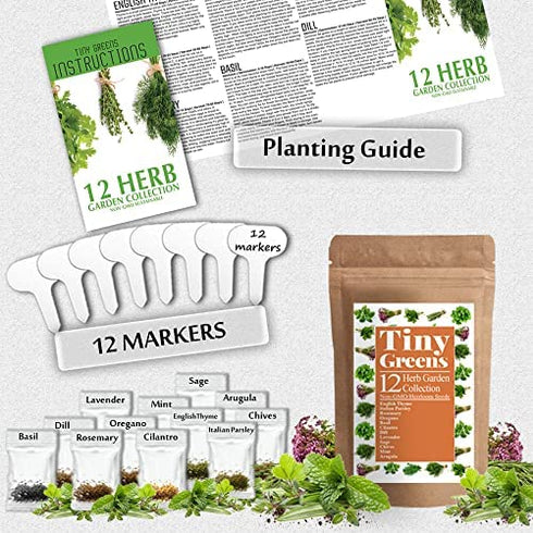 3600+ Herb Seeds - 12 Heirloom Varieties, Non-GMO Herbs Seeds for Planting Indoors & Outdoors | Culinary Herb Garden Seed Pack: Basil, Cilantro, Thyme, Mint, Oregano, Chives, Dill, Parsley, Tarragon
