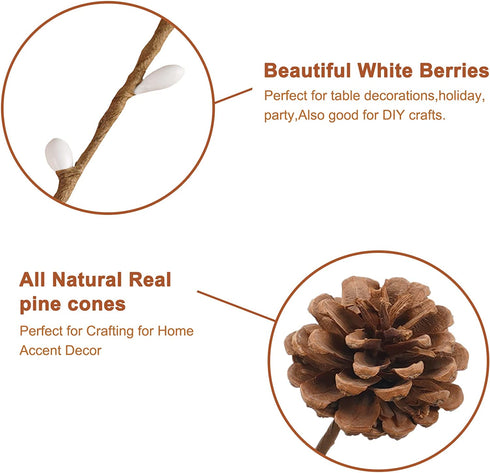 Houele - Long Stem Artificial Flowers for Tall Vase, Fake Branches, Pussy Willow Branches Home Vase Fillers for Home Hotel Office Bedroom DIY Decor (10 Pcs White + 2 Pcs Pine Cones)