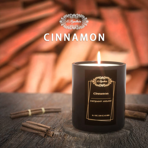 C.Fysik³s Scented Candles | Soy Candles | Candles for Home Scented | Aromatherapy Candle | Long Lasting Scented Candles | Cinnamon Candle | Candles Gifts for Women | 8 oz