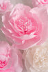 Large Paper Flower Decorations for Wall - White Pink Paper Flowers Wall Decor - Crepe Paper Flowers for Wedding Backdrop,Nursery Wall Decor, Birthday Party Backdrop Decor,Pink White Flowers Set/6