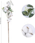 GTIDEA 18.3" Cotton Plant Decor 12 Balls Cotton Flower Stems Farmhouse Greenery Flowers with Eucalyptus Leaves Artificial Floral Arrangement for Home Party Wedding Wreath Wall Decor (3 Pcs)