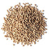 Organic Coriander Seeds, 6 Ounces – Whole, Non-GMO Spice, Non-Irradiated, Vegan, Dry, Bulk, High in Dietary Fiber, Copper, Manganese, Magnesium, and Iron. Perfect for Garam Masala and Curry.