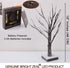 Bright Zeal 1-Pack 18" Tall Lighted Birch Christmas Tree with Faux Snow and 24 Warm White LED Bulbs - Table Top White Birch Tree Lamp Birch Snow Tree Indoor - LED Birch Tree Light Up Tabletop Decor