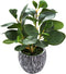 Mini Potted Artificial Plants Real Looking Plastic Fiddle Leaf Fig Plant with Rustic Black Cement Planter for House Office Desk Decor