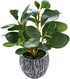 Mini Potted Artificial Plants Real Looking Plastic Fiddle Leaf Fig Plant with Rustic Black Cement Planter for House Office Desk Decor