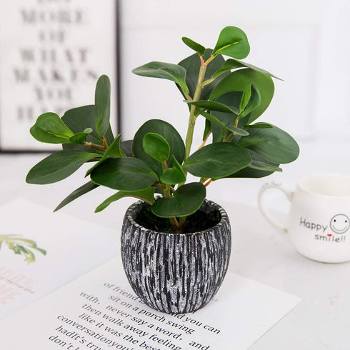 Mini Potted Artificial Plants Real Looking Plastic Fiddle Leaf Fig Plant with Rustic Black Cement Planter for House Office Desk Decor