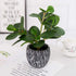 Mini Potted Artificial Plants Real Looking Plastic Fiddle Leaf Fig Plant with Rustic Black Cement Planter for House Office Desk Decor