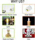 Lotus Hills Flameless Window Candles with Remote and Timer, 6 Packs Battery Operated Window Candles with Gold Candle Holders, Flickering Led Window Candles for Newyears Party Wedding Decorations
