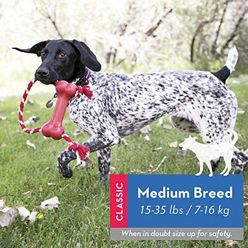 KONG - Goodie Bone with Rope - Durable Rubber Chew Bone, Teeth Cleaning Dog Toy - for Medium Dogs