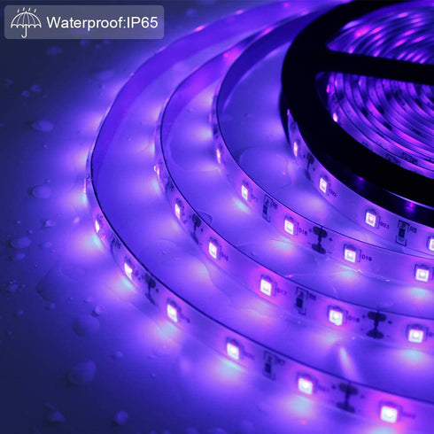 24W LED UV Black Light Strip Kit, Ultraviolet Waterproof IP65 16.4FT/5M 3528 300LEDs, 395nm-405nm Blacklight for DJ Bar Club Party Decor Night Fishing with 12V 2A Power Supply