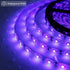 24W LED UV Black Light Strip Kit, Ultraviolet Waterproof IP65 16.4FT/5M 3528 300LEDs, 395nm-405nm Blacklight for DJ Bar Club Party Decor Night Fishing with 12V 2A Power Supply