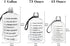 BuildLife 1 Gallon Water Bottle -Motivational Fitness Workout with Time Marker/Drink More Daily/Clear BPA-Free/Large 128OZ /73OZ Capacity