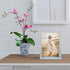 HORLIMER 5x7 Picture Frames Set of 2, Rustic Photo Frame with Wooden Base and Tempered Glass for Tabletop