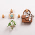 Cute Water Drop Shaped Wooden Hooks,Decorative Wooden Wall Hooks for Hanging Hats, Jackets and More! All Natural, Solid Wood Hooks, Each Set Includes 4 Wall Hooks and Hardware.