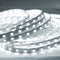 ABI Daylight White 6000K High Brightness Flexible LED Strip Light with AC Adapter, SMD 5050 LED Chips, 5 Meters / 16.4 FT Spool, 12VDC