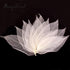 SPDD 100pcs Natural Magnolia Skeleton Leaf,Magnolia Leaf Dried Leaves Samples for Card Scrapbook Embossing DIY Candles Craft Gift