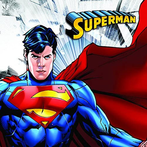 DC Comics Superman Jewelry for Women Stainless Steel Cutout Logo Pendant Necklace
