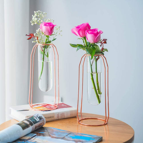 NUPTIO Vases Set of 2 Glass Vases with Metal Frame 23.5cm Height, Modern Rose Gold Frame Cylinder Clear Vase Planter Terrariums, Flower Holder Decorations for Wedding Living Room, Office, Party