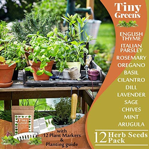 3600+ Herb Seeds - 12 Heirloom Varieties, Non-GMO Herbs Seeds for Planting Indoors & Outdoors | Culinary Herb Garden Seed Pack: Basil, Cilantro, Thyme, Mint, Oregano, Chives, Dill, Parsley, Tarragon