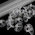 VIDELLY 100 Pieces Balloon Sticks 16inch Bobo Balloons Sticks Clear Plastic Balloon Sticks Holders With Balloon Cups for Party Wedding Birthday Anniversaries Valentines Day Decor Party Supplies