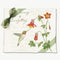 Alice's Cottage AC34438 Hummingbird Flour Sack Towel (Set of 2)