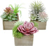 Mingfuxin Artificial Succulents Plants, Mini Assorted Green Faux Succulents in Pots, Small Succulents Plants Artificial with Wood Potted for Home Office Living Room Table Desk Plants Decor, Set of 3