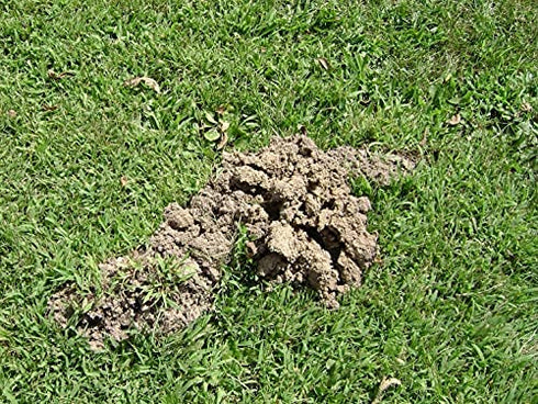 Tomcat Mole & Gopher Bait, 6 oz