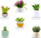 6 Pack Small Acrylic Floating Shelves for Wall, Wall Mounted Hanging Display Shelves for Plants, Funko Pop Figures, Adhesive Shelf for Bedroom, Picture Toy Clear Display Stand