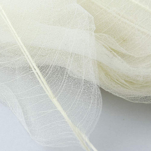 SPDD 100pcs Natural Magnolia Skeleton Leaf,Magnolia Leaf Dried Leaves Samples for Card Scrapbook Embossing DIY Candles Craft Gift