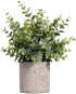 HC STAR Artificial Plant Potted Mini Fake Plant Decorative Lifelike Flower Green Plants