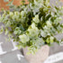 HC STAR Artificial Plant Potted Mini Fake Plant Decorative Lifelike Flower Green Plants