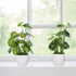 4pcs Small Fake Plants Potted Artificial Mini Greenery Evergreen Lotus Leaf Clover Luau Leaf for Desk Table Home Office Room Bedroom Decoration