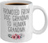 New Baby Reveal Gift For Grandma, Grandma To Be Mug From Daughter for Christmas, Baby Pregnancy Announcement Gift, Cute Mug For Woman, New Grandmother Gift, Future Grandma Coffee Mug