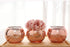 Lynnsdecor Set of 3 Bling Vase Round Golden Vase Silver Vase Rose Gold Vase Table Vase Party Vase Wedding Vase Centerpiece
