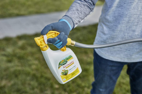 Scotts Liquid Turf Builder with Plus 2 Weed Control Fertilizer, 32 fl. oz. - Weed and Feed - Kills Dandelions, Clover and Other Listed Lawn Weeds - Covers up to 6,000 sq. ft.