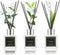 NEVAEHEART Reed Diffuser Set, Gardenia/Freesia/Jasmine & Mint, 1.7OZ x 3 Packs Reed Diffuser, Oil Diffuser Sticks, Home Fragrance Products, Fragrance Diffuser with Gift Box