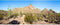 AWERT 36x18 inches Terrarium Background Blue Sky Mountain Rock Huge Cactus Gobi Desert Reptile Habitat Background Polyester Background