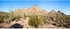 AWERT 36x18 inches Terrarium Background Blue Sky Mountain Rock Huge Cactus Gobi Desert Reptile Habitat Background Polyester Background