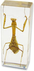 REALBUG Praying Mantis Paperweight (1 5/8 x 4 3/8 x 1 1/8")