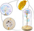 Beauty and The Beast Rose,Forever Rose with Led Light in Glass Dome for Valentine's Day Mothers Day Wedding Anniversary (Colorful Rose)