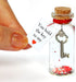 You Hold The Key to My Heart - Romantic Message in a Bottle to Give Boyfriend or Girlfriend - Wish Jar with a Card for Husband or Wife (Key in a bottle, You Hold The Key to My Heart)