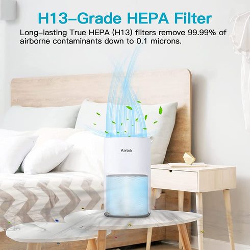 AIRTOK Air Purifier AP1001 Replacement Filter, 5-Layer Purification System, H13 True HEPA Filter, Activated Carbon Filter and more,,2022 Upgrade
