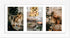 Golden State Art, 7x14 White Photo Wood Collage Frame with Mat displays (3) 4"x6" Pictures (Wood - White with White Mat)