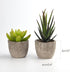 FEPITO 5 Pcs Artificial Succulent Plants with 2 Pcs Plant Hangers?2.4 Mini Faux Succulents Artificial Cactus Aloe Echeveria with Gray Pots Hanging Stems Bulk for Home Indoor Decoration