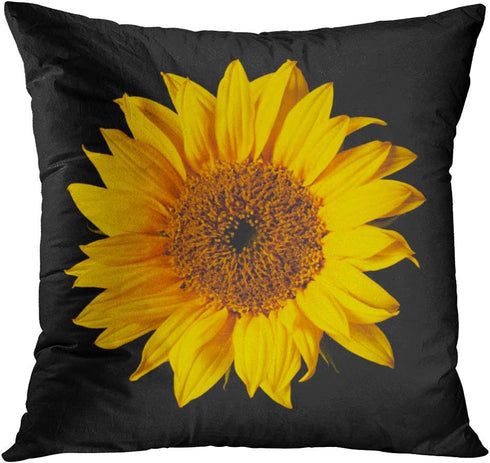 Britimes Throw Pillow Covers Home Decor Set of 4 Pillow Cases Decorative 18 x 18 Inches Outdoor Cushion Couch Sofa Pillowcases Sunflower