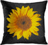 Britimes Throw Pillow Covers Home Decor Set of 4 Pillow Cases Decorative 18 x 18 Inches Outdoor Cushion Couch Sofa Pillowcases Sunflower