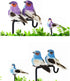 Artificial Bird Ornaments 12Pcs Cute Artificial Feather Bird Colorful Simulation Foam Bird for Crafts, Christmas Tree and Seasonal Displays and Wreaths